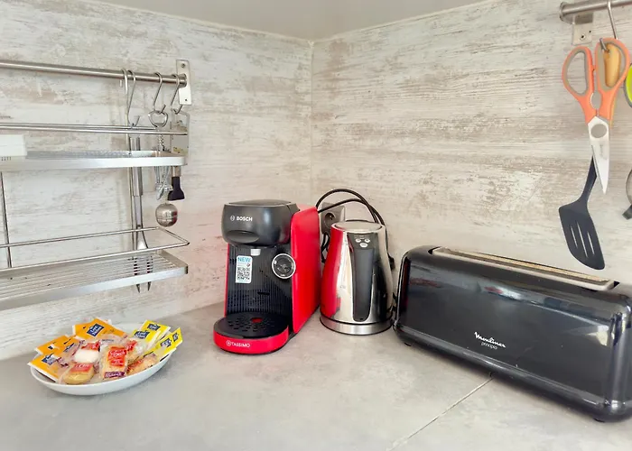 Les Lauriers -3 Chambres, Climatisation, Terrasse, Jardin, Bbq & Plancha- Sudsejourconciergerie Semesterbostad Elne